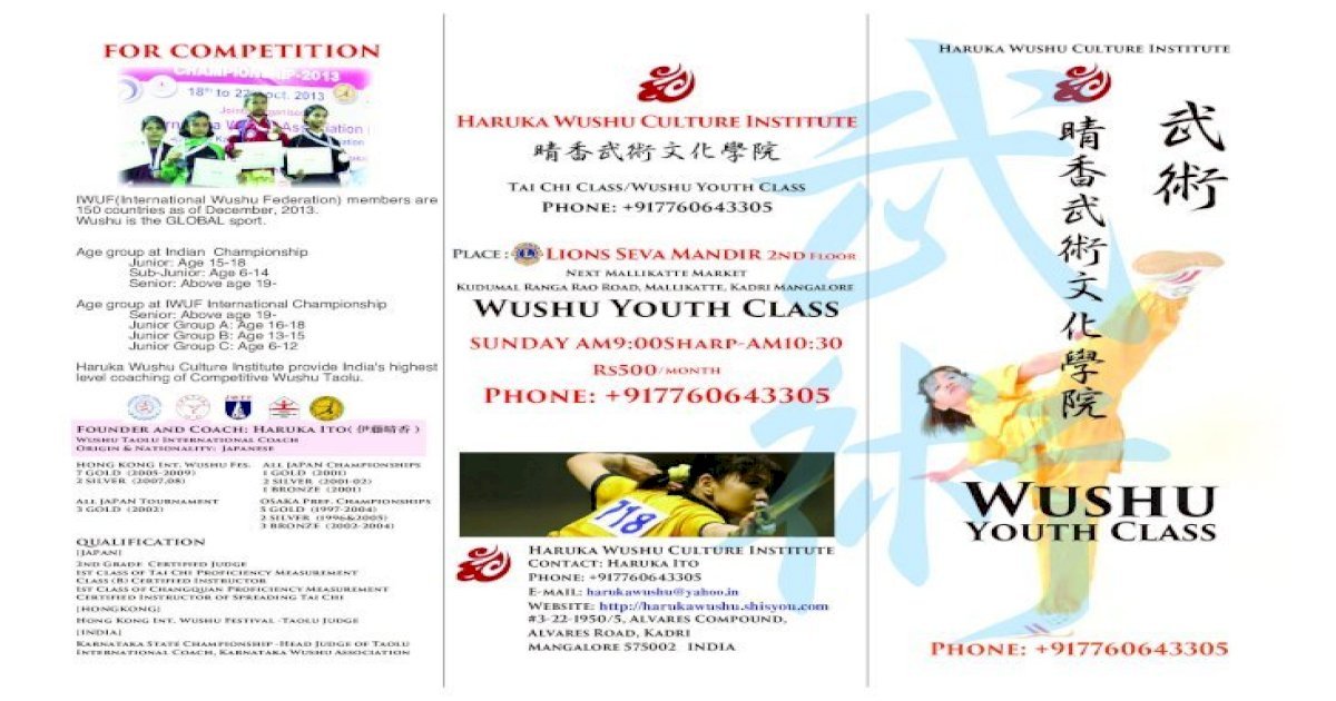 wushu taolu basic training pdf